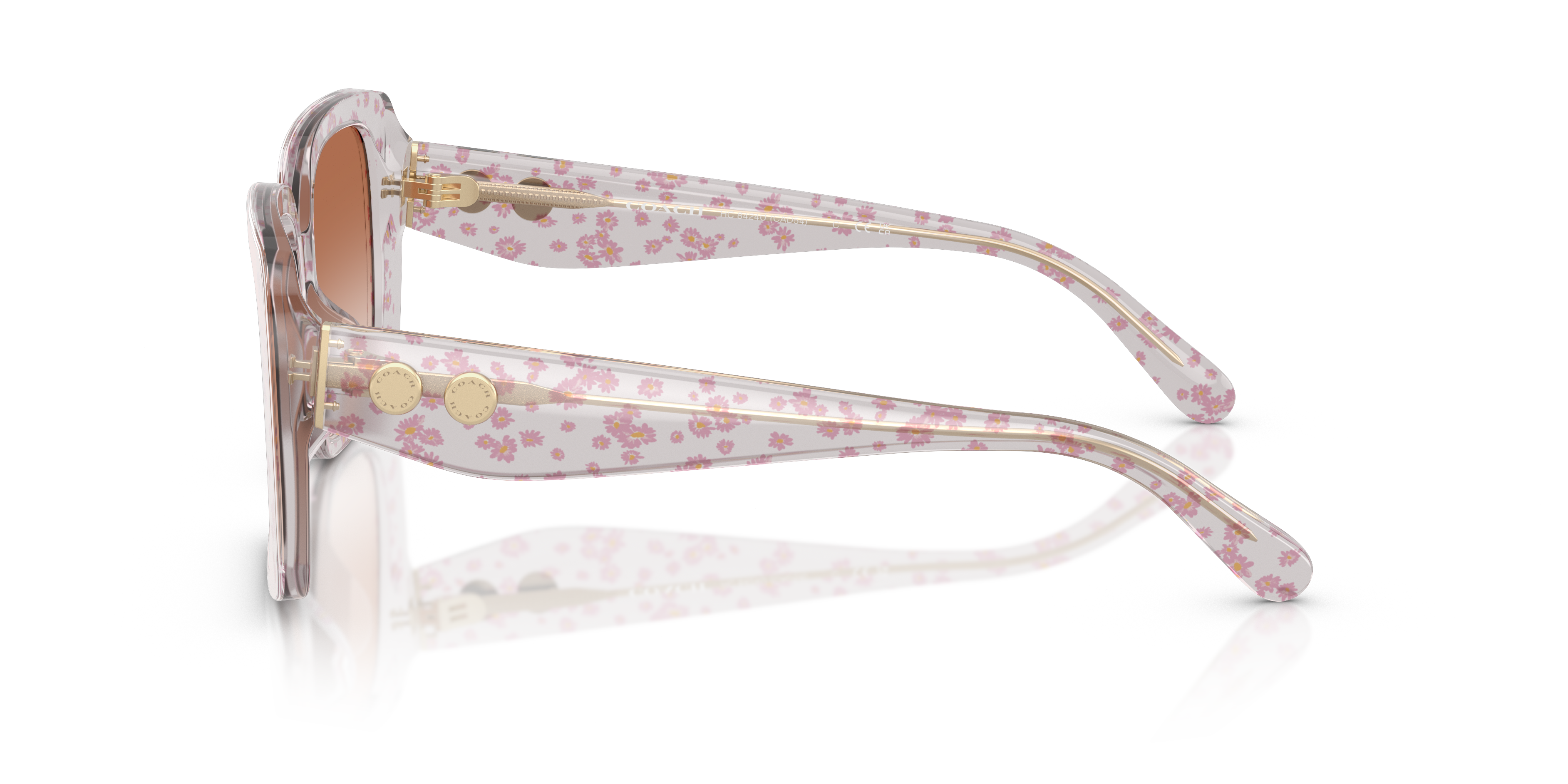 Coach HC8424U 595313 Cad54 